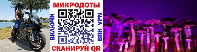 купить наркотики сайты  маркетплейс официальный сайт  Галлюциногенные грибы Magic Shrooms  Отрадная 